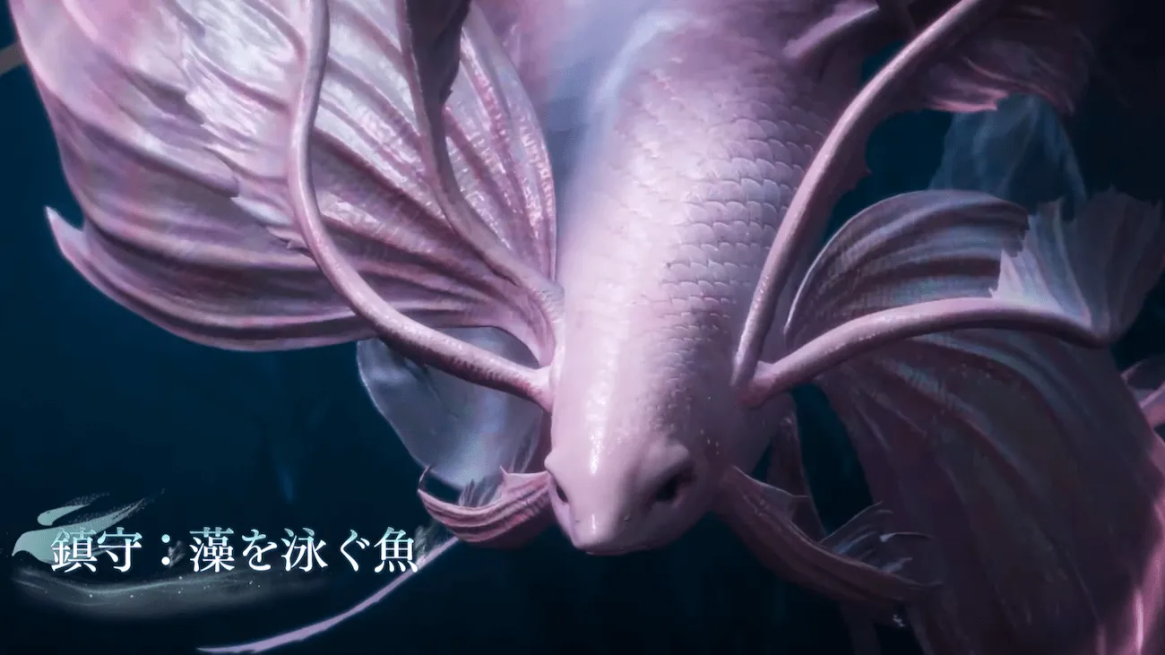 藻を泳ぐ魚