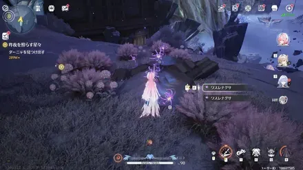 現地で入手