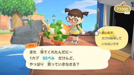 コメント画像