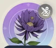 常夜の花の画像