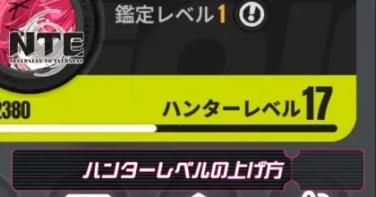 ハンターレベル