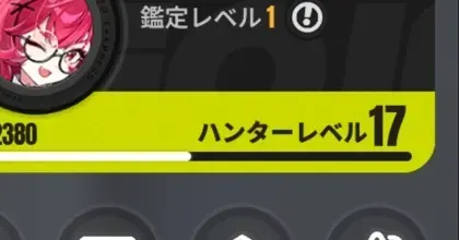 ハンターレベルの上げ方