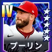 プーリン画像