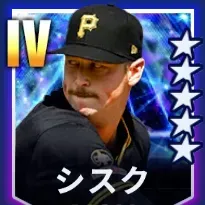 シスク画像