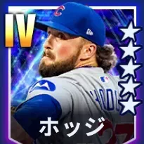 ホッジ画像