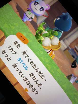 コメント画像
