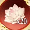 蓮の石20