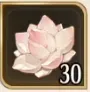 蓮の石30