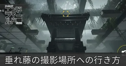 垂れ藤