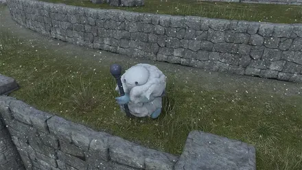 雪
