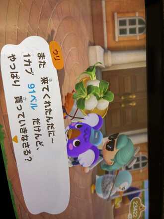 コメント画像
