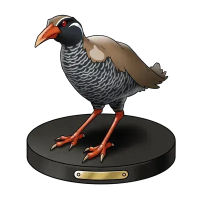 走る鳥の置物