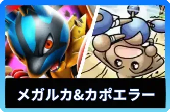 メガルカリオex＆カポエラーデッキ