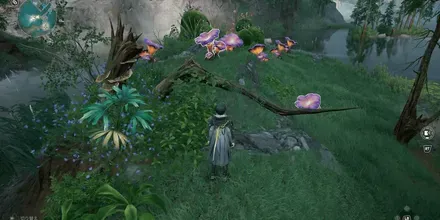 https://img.game8.jp/12569811/74630dd2d62ceaf0d3e5197edd00f285.webp/showの実際の場所画像