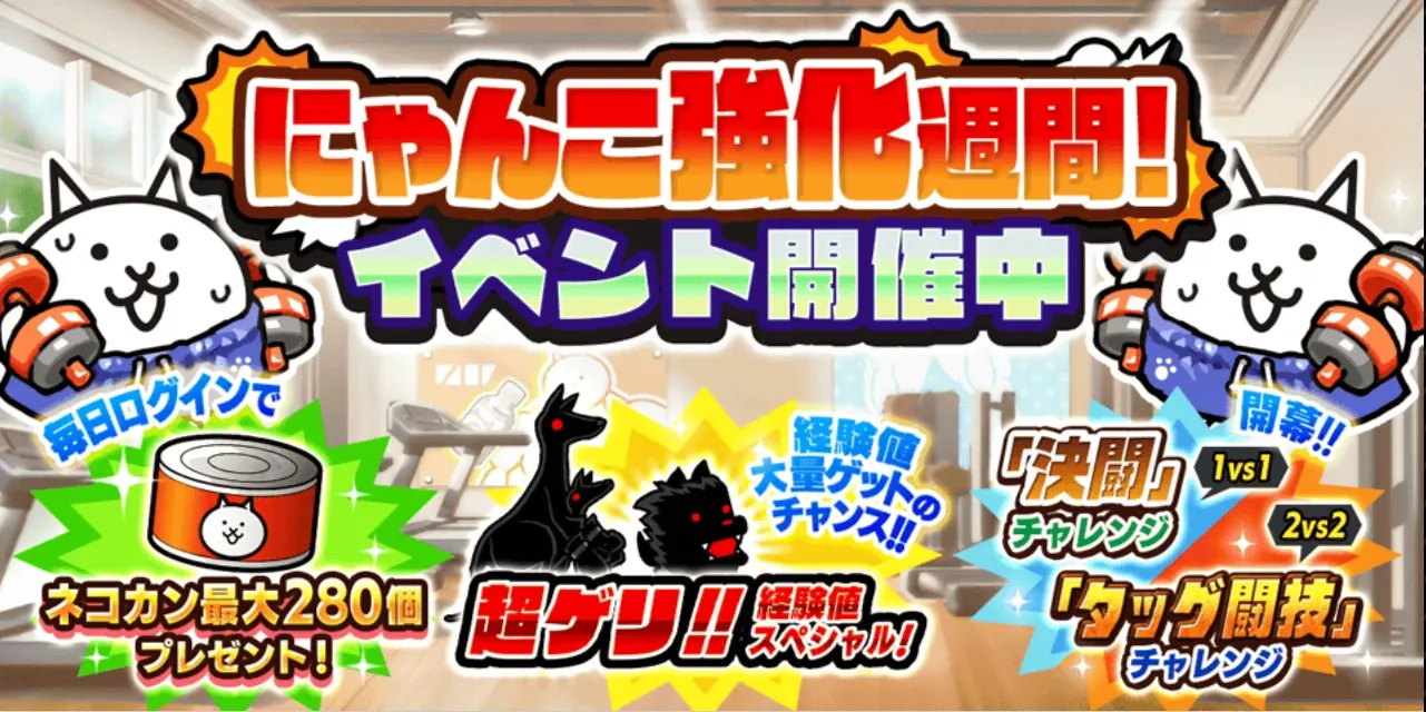 にゃんこ強化週間バナー