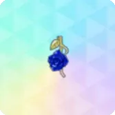 アクセサリー1