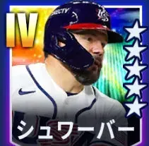 シュワーバー画像