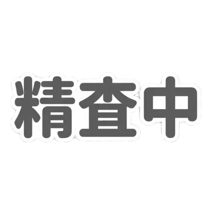 精査中の画像
