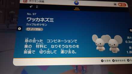 コメント画像