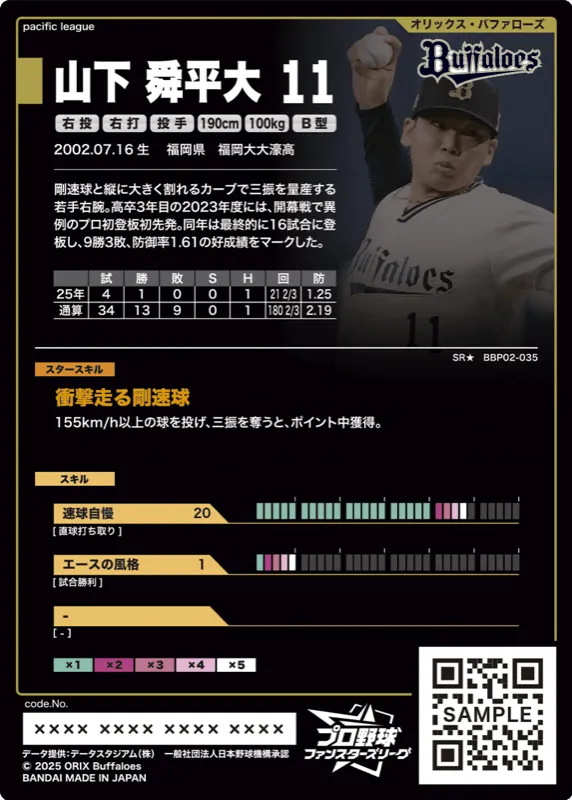 山下 舜平大