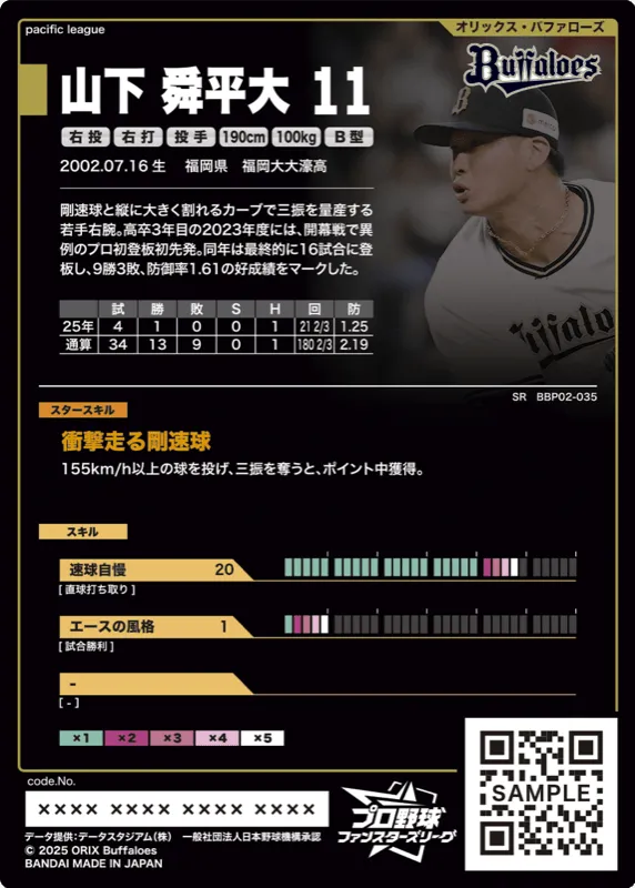 山下 舜平大