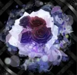 弔いの黒薔薇