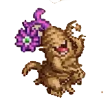マンドラゴラ画像