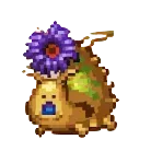 シーフラワー画像