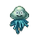しびれくらげ画像