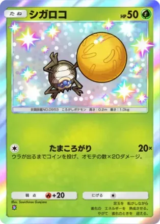 シガロコ（B3a-094/74）