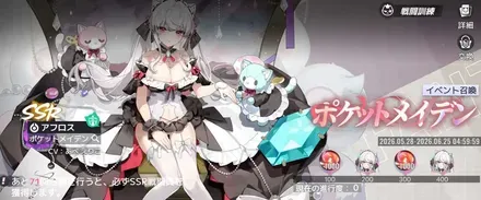 ポケットメイデン