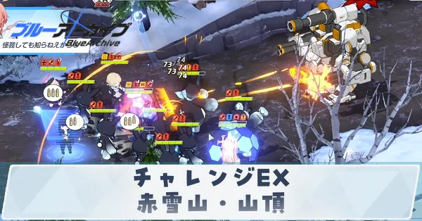 チャレンジEX「赤雪山・山頂」