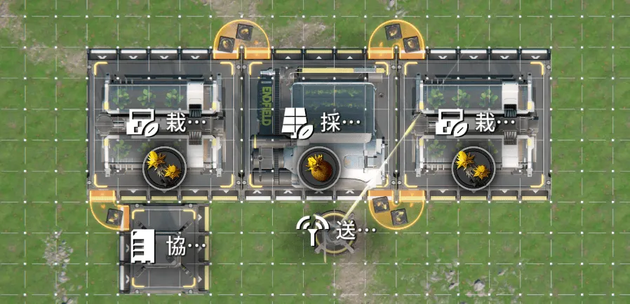 サンドリーフ栽培