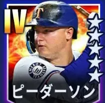 ピーダーソン画像