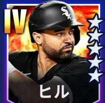 ヒル画像