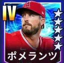 ポメランツ画像