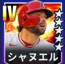シャヌエル画像