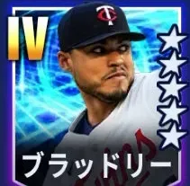 ブラッドリー画像