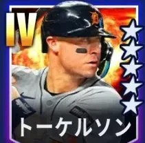 トーケルソン画像