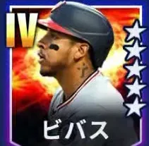 ビバス画像