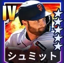シュミット画像