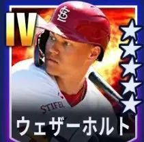 ウェザーホルト画像