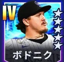 ボドニク
