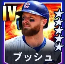 ブッシュ