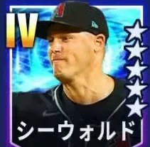シーウォルド画像