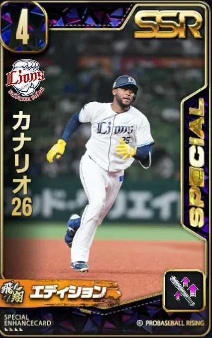 カナリオ26の画像