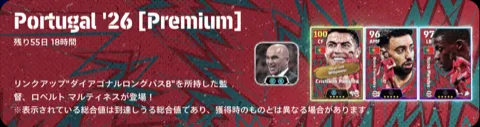 ポルトガル代表(06/04)画像