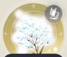 夜光草の画像