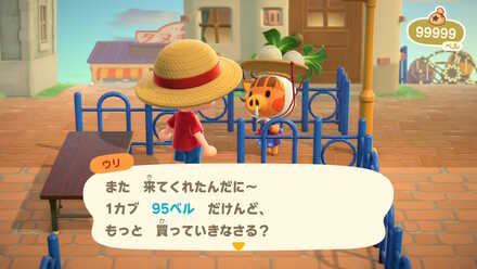コメント画像