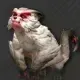 山吼獣画像